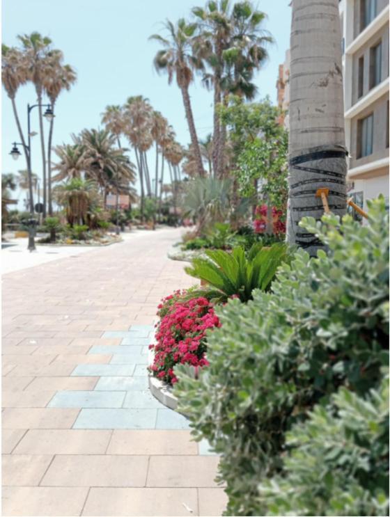 Beach Side Apartment -Estepona Eksteriør billede